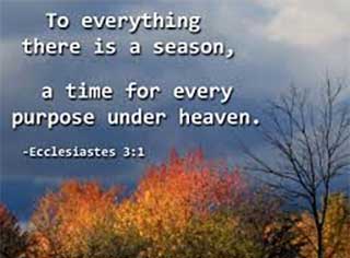 There is a time and season for everything under heaven
